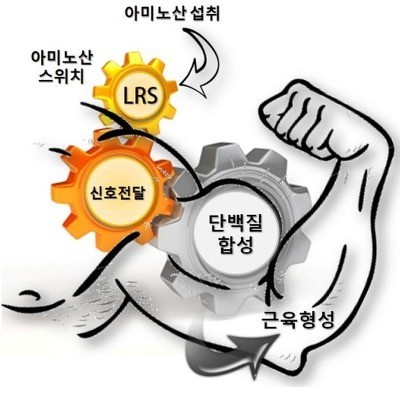 베이스오브바디 이미지