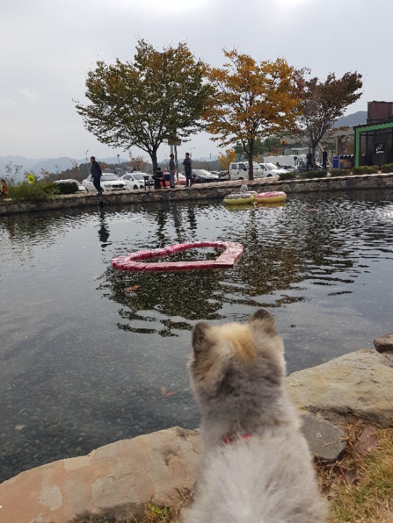 광돈이네 이미지
