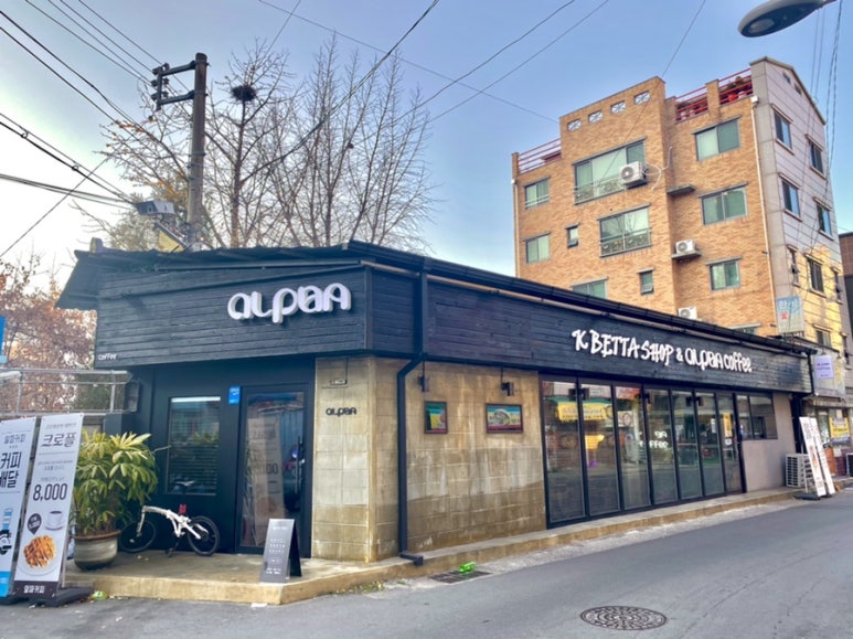 알파케이 이미지