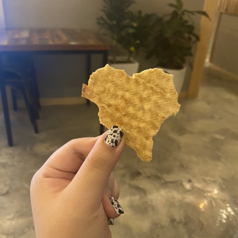 에이엔셀바이오 이미지