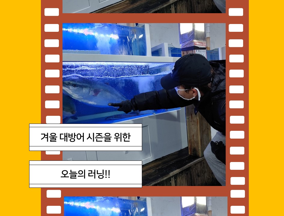 설봉수산 이미지