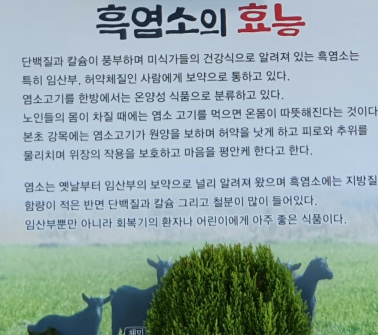 채민경월드흑염소나라 이미지