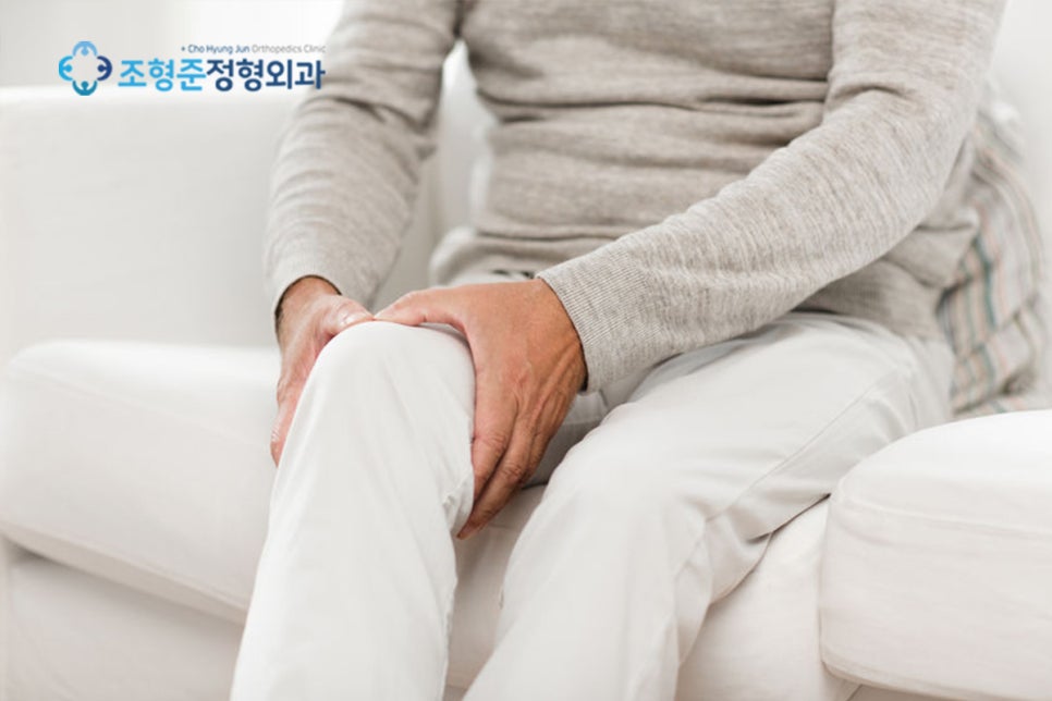법인마들 이미지