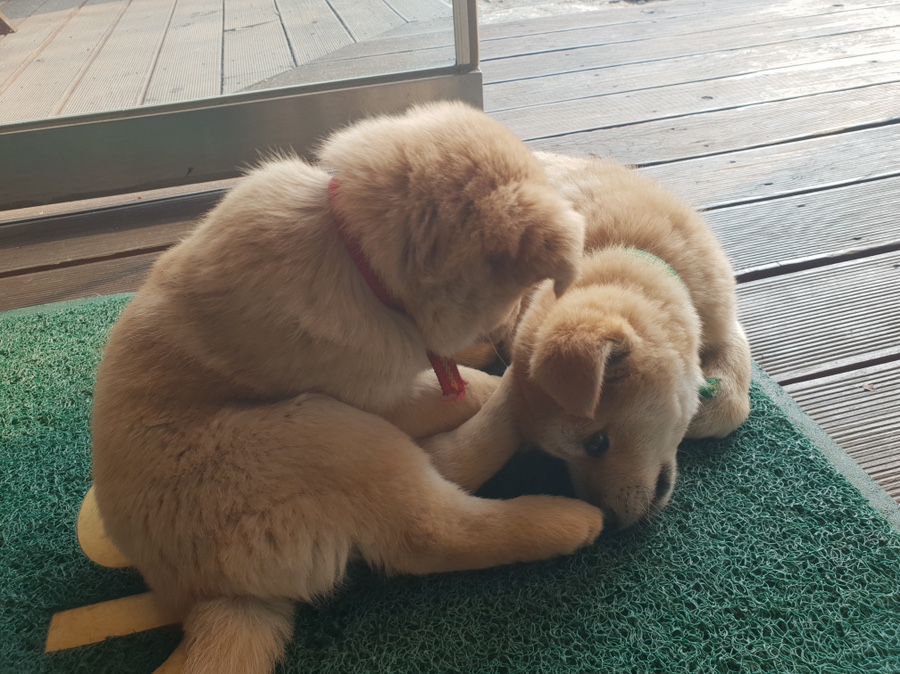 홍만당 이미지