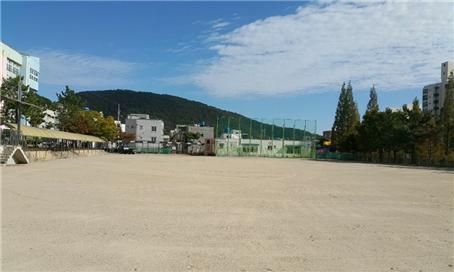 여수양지초등학교 이미지