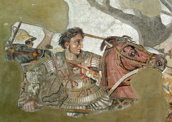 TANDIR 이미지