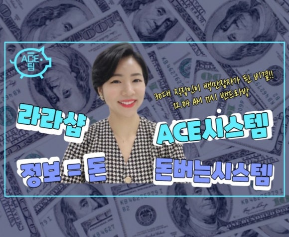 에이스정보시스템 이미지