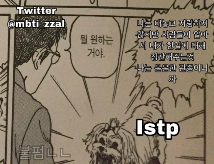 슈슈왁싱 이미지