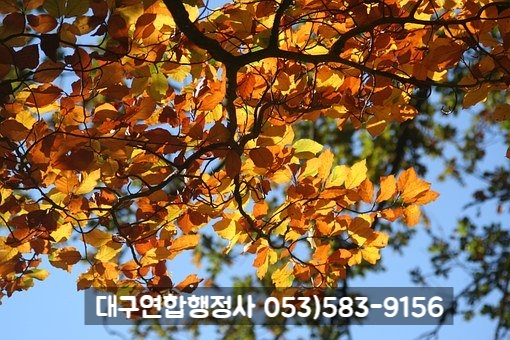 행정사김덕수 이미지