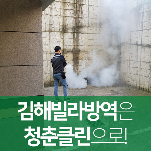 청춘청소방역 이미지