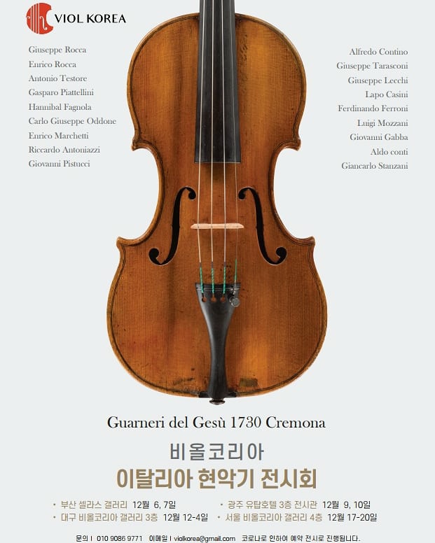 비올악기 이미지