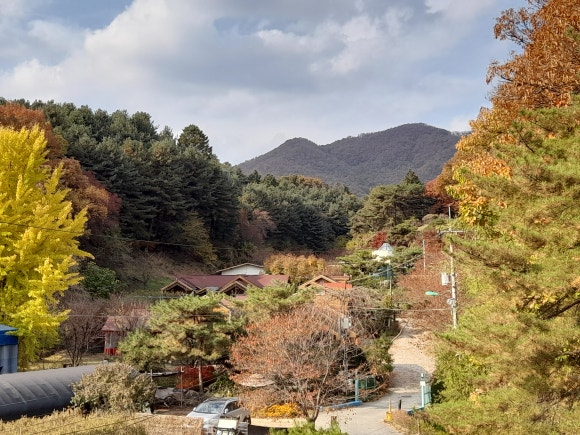 별헤는 이미지