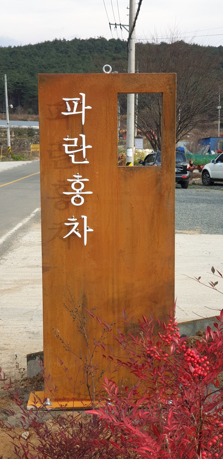 파란홍차 이미지