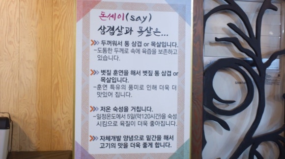 세이저온 이미지