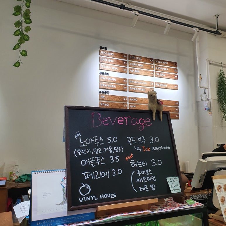 비닐하우즈 이미지