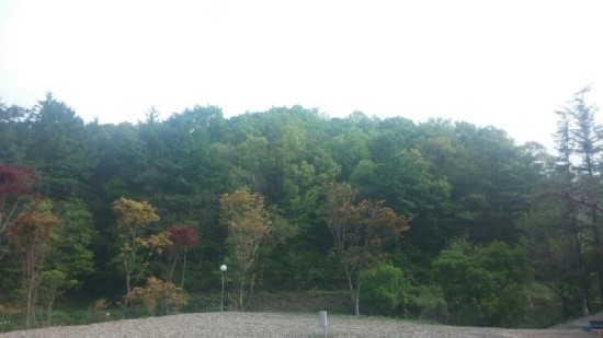 덕산관광농원 이미지