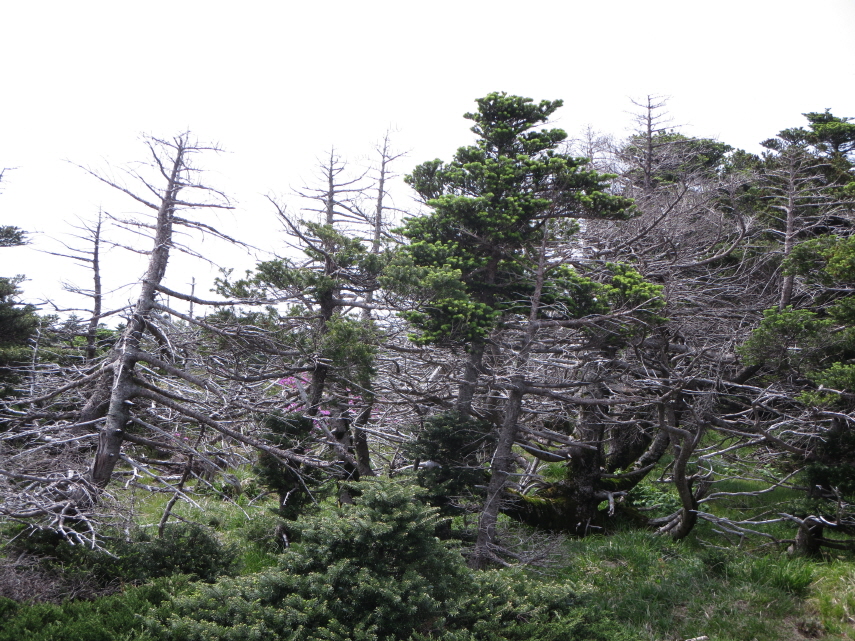 한라산석유 이미지