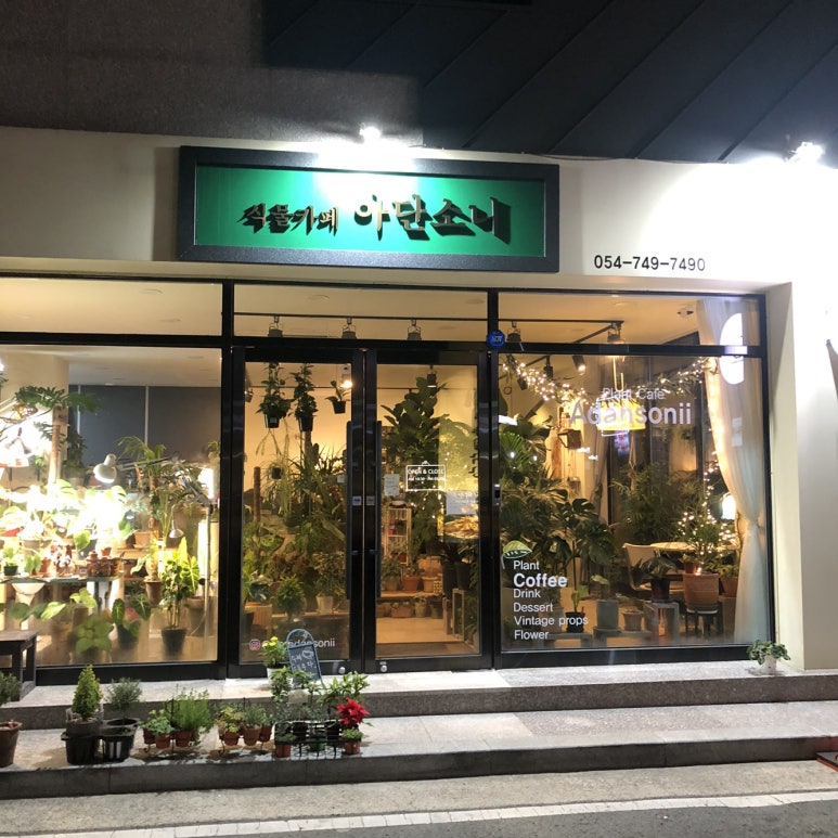 식물카페아단소니 이미지