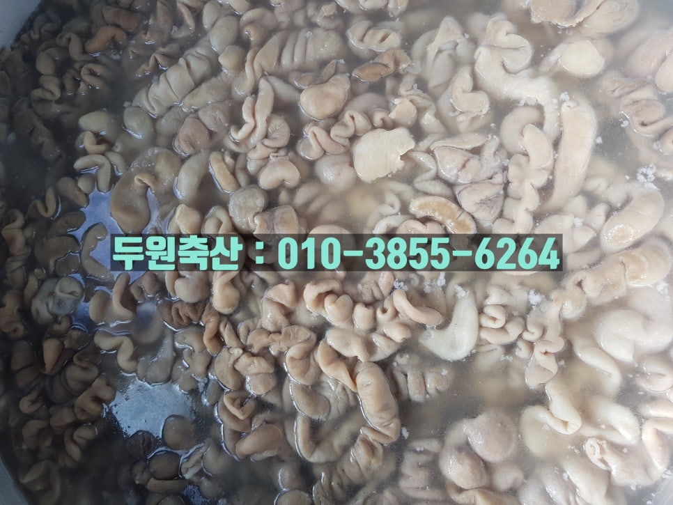 두원유통 이미지