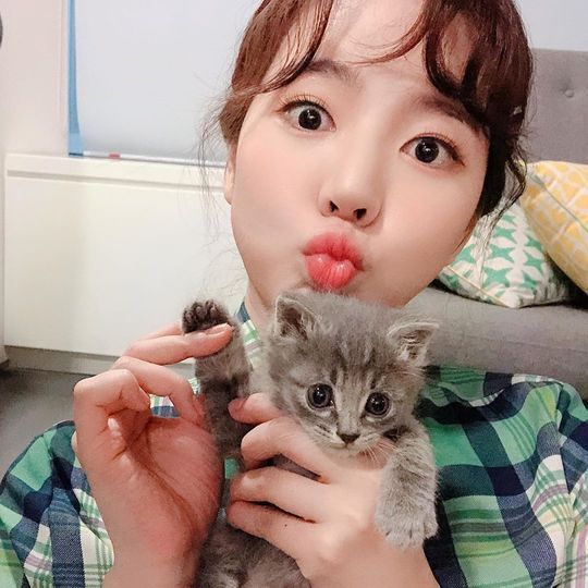 써니농장 이미지