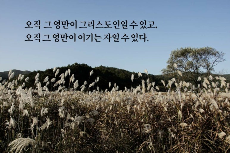 삼일영이 이미지