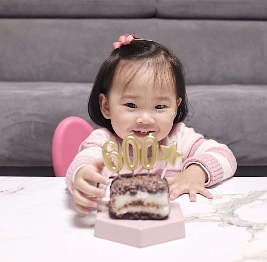 파시비니 이미지
