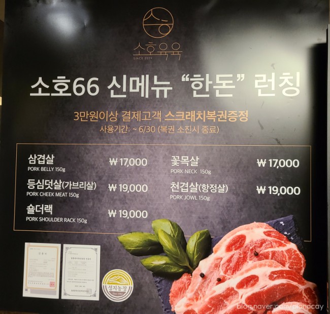 소호66 이미지