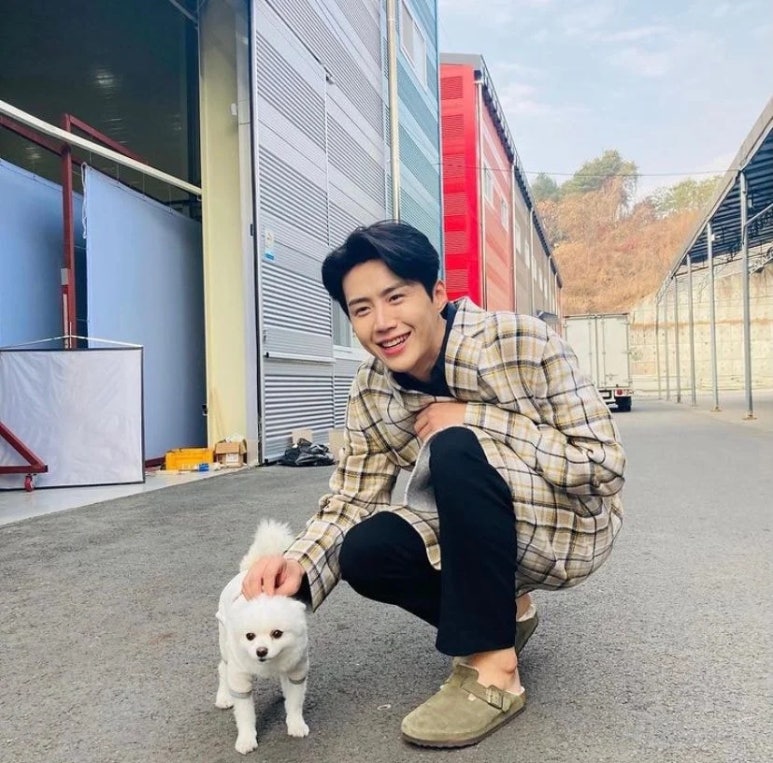 뚱보롱 이미지