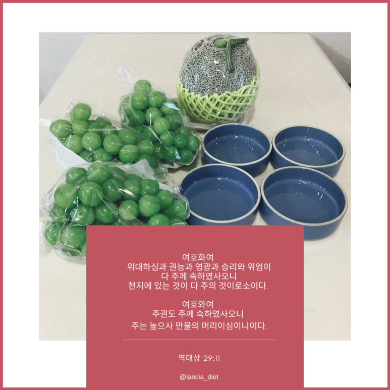 승리웰니스(Wellness) 이미지