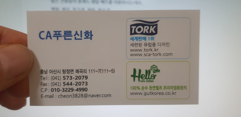 시에이푸른신화 이미지