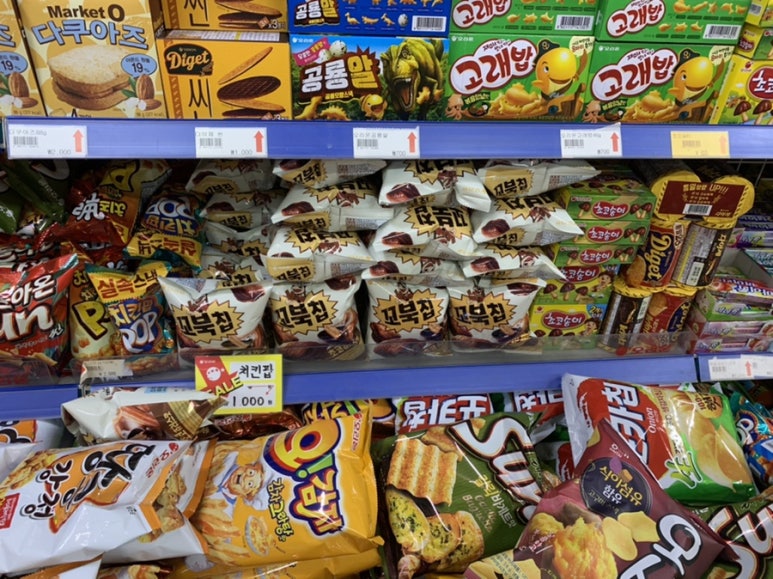 코사우리마트 이미지