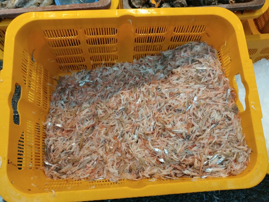사구치킨 이미지