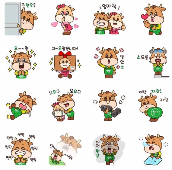 춘천농민한우 이미지