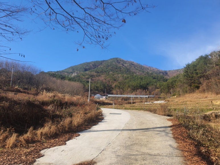 법인행복한농원 이미지