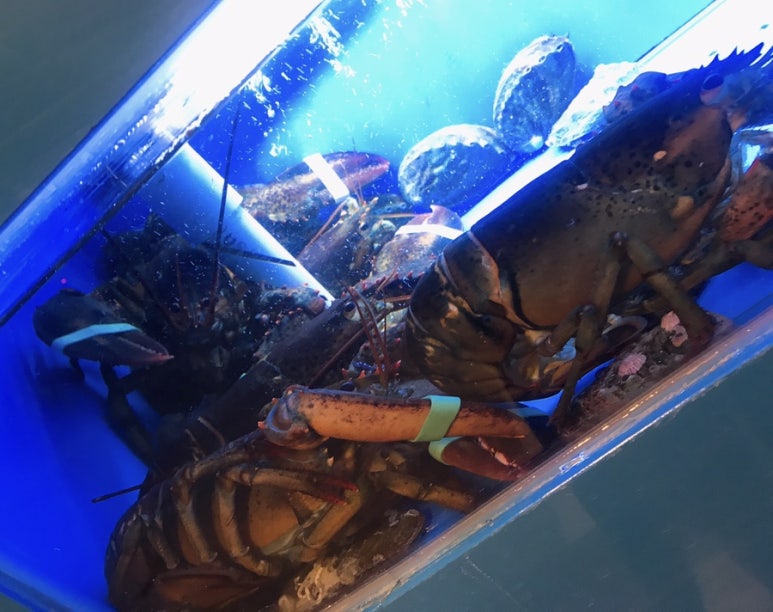 복먹고복받고(구로점) 이미지