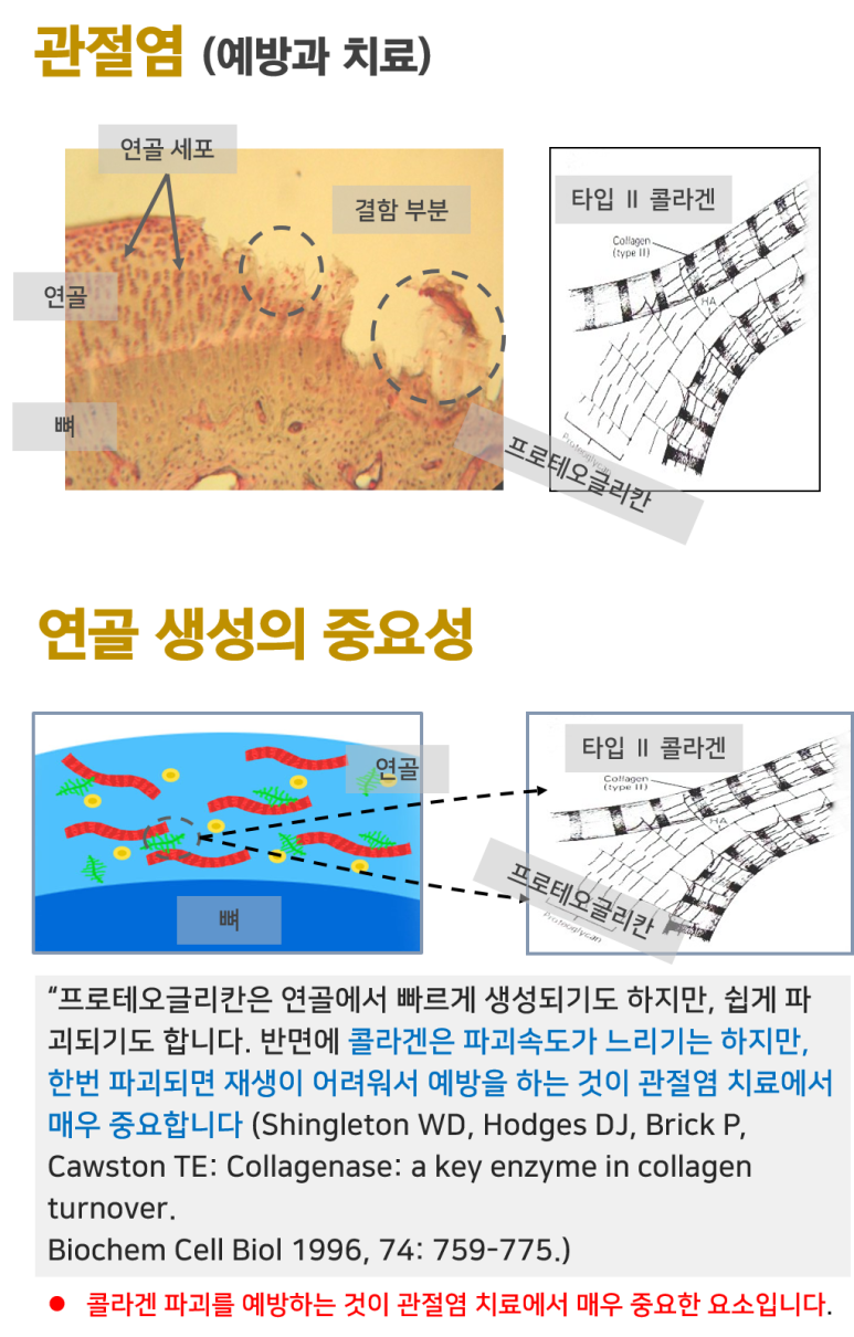 오케이바이오 이미지