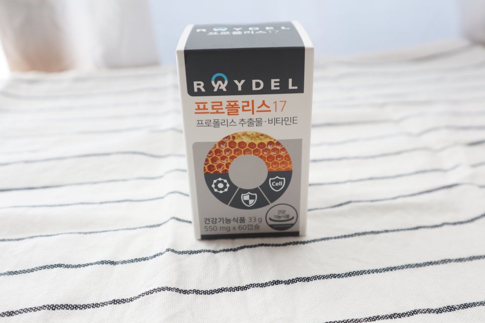 (주)레이델코리아 이미지