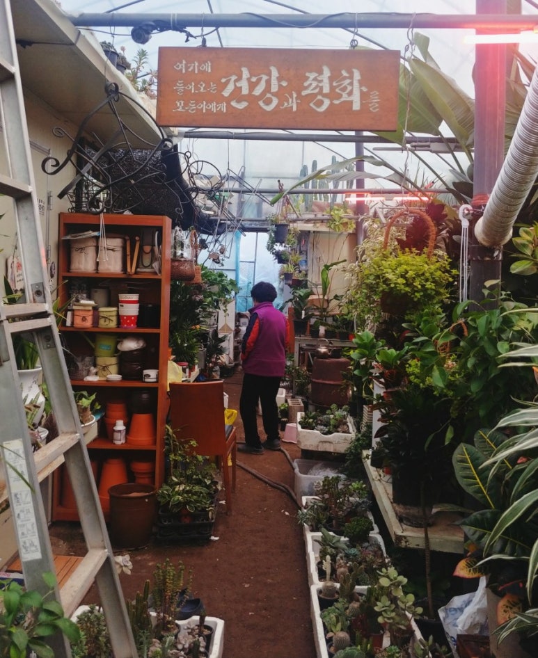 에덴꽃화원 이미지
