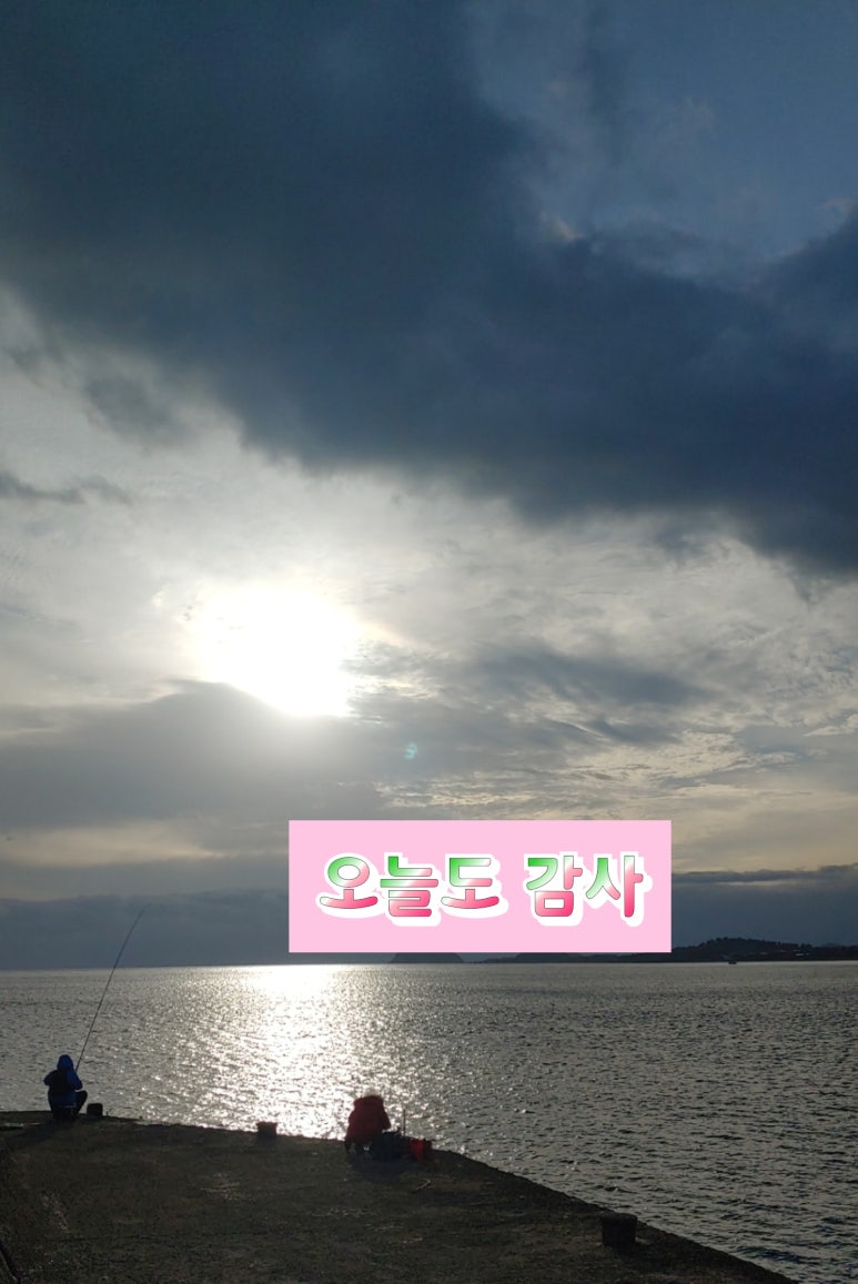 바다향가득한 이미지