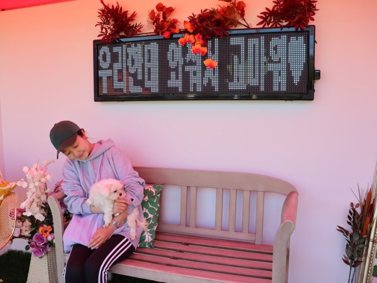 까끼 이미지