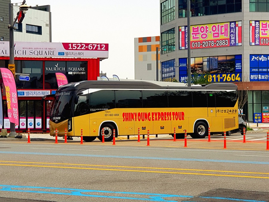 신영관광 이미지