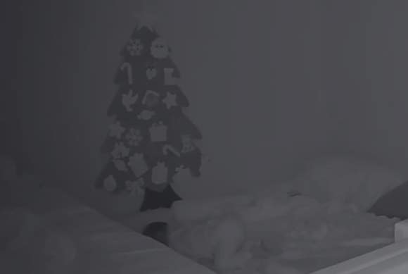 와이드가드 이미지