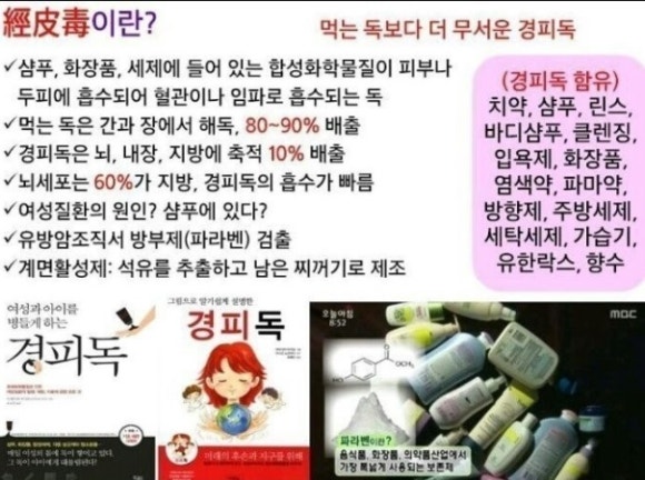 여우스킨 이미지