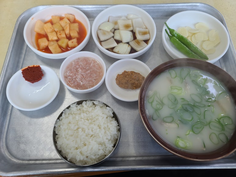 정화돼지국밥 이미지