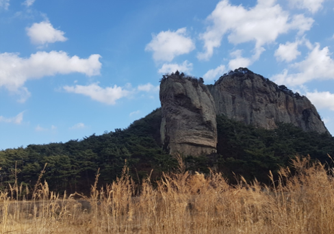 용담장 이미지
