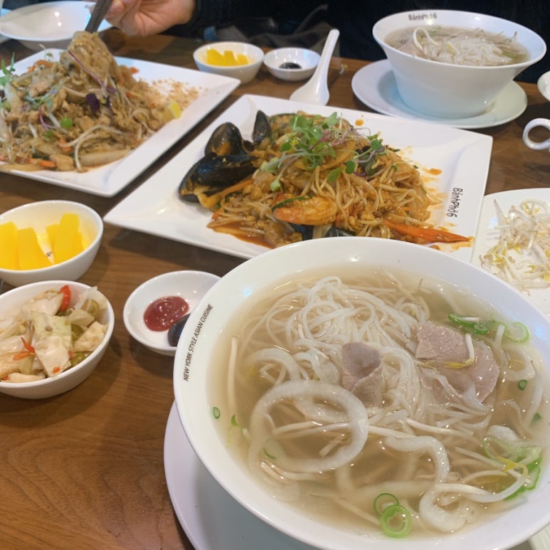 트라이얼라이언스 이미지