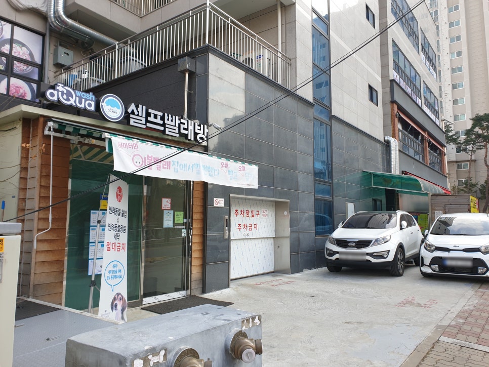 아쿠아워시비전 이미지