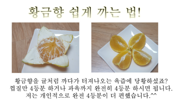 황금향 이미지