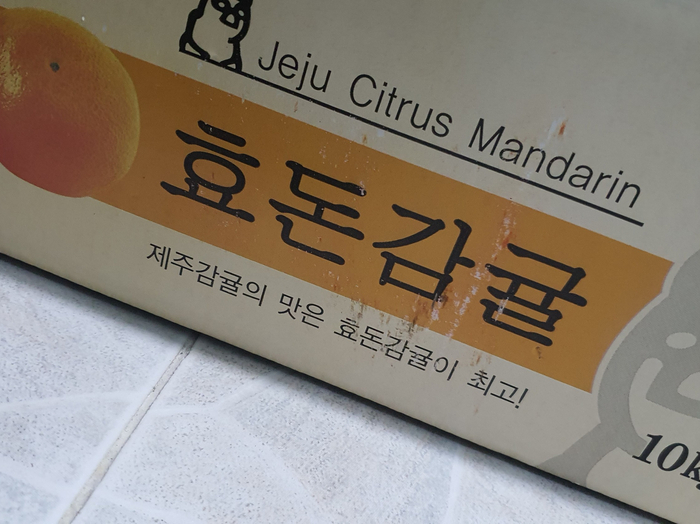 주현농장 이미지