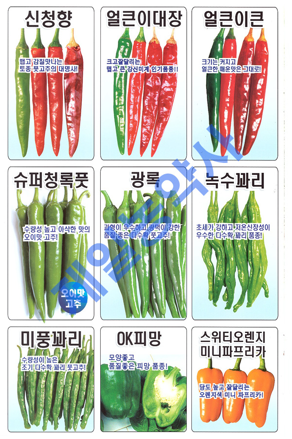 녹수슈퍼 이미지